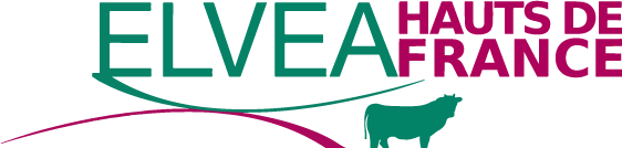 Logo Elvea HDF fond transparent