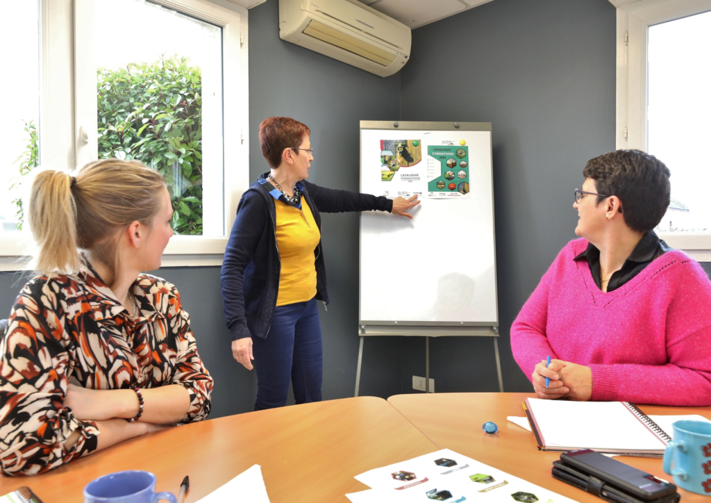 Formation chez Elvea HDF