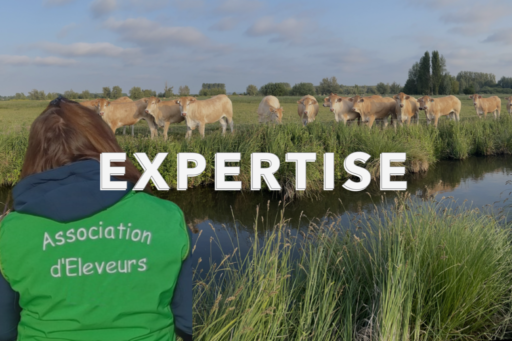 Une des valeurs principales d'Elvea HDF, expertise